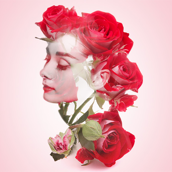 red rose double exposure alon