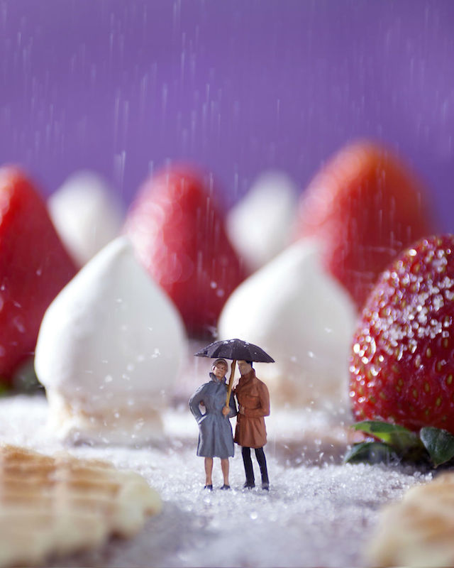 strawberry miniature photography william