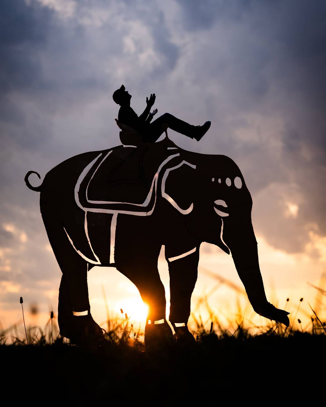 12 cardboard silhouette photo cutout elephant by john marshall