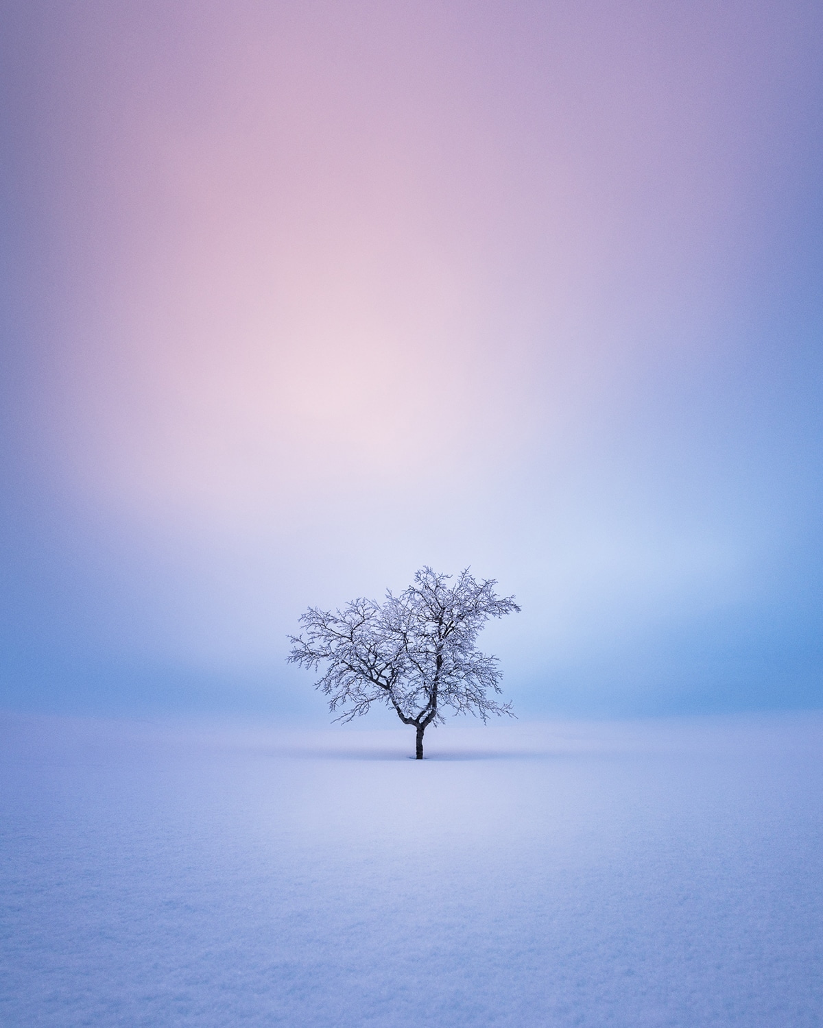 4 most beautiful photo by mikko lagerstedt