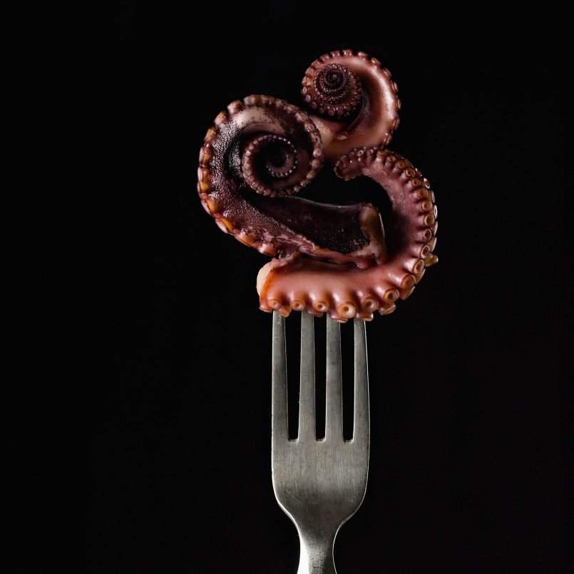 creative food photography ideas octopus by pavel sablya