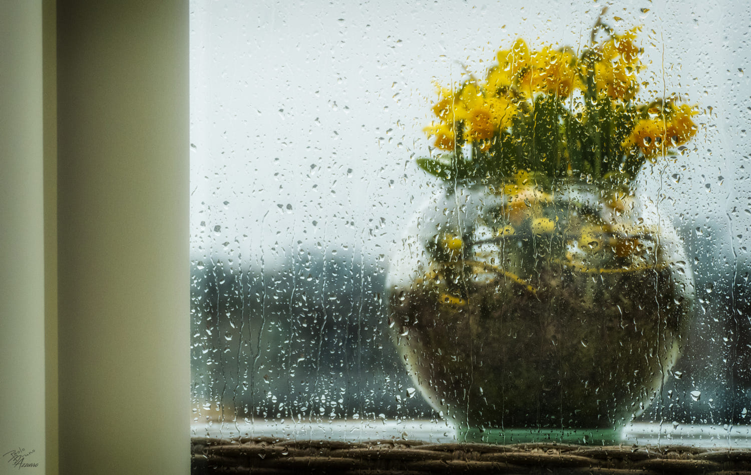 beautiful rain photography by paolo p bruno