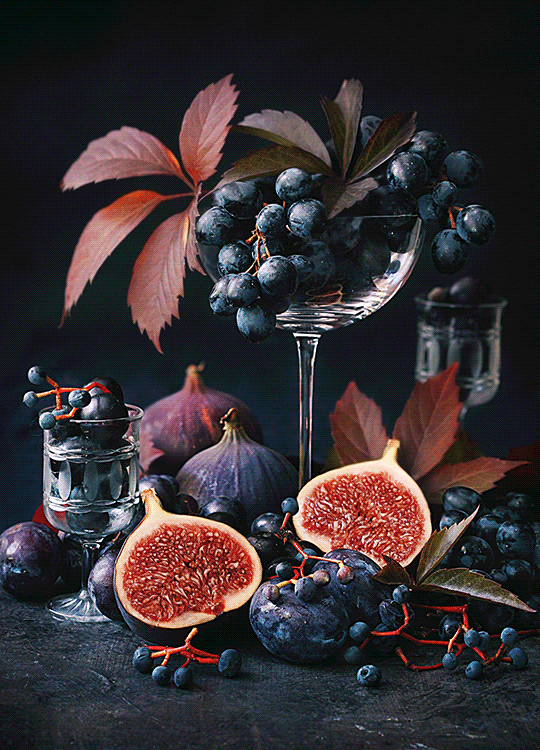 food lifestyle photography figs by daria khoroshavina