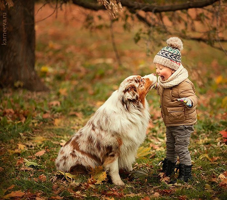 dog kid photography by elena karneeva