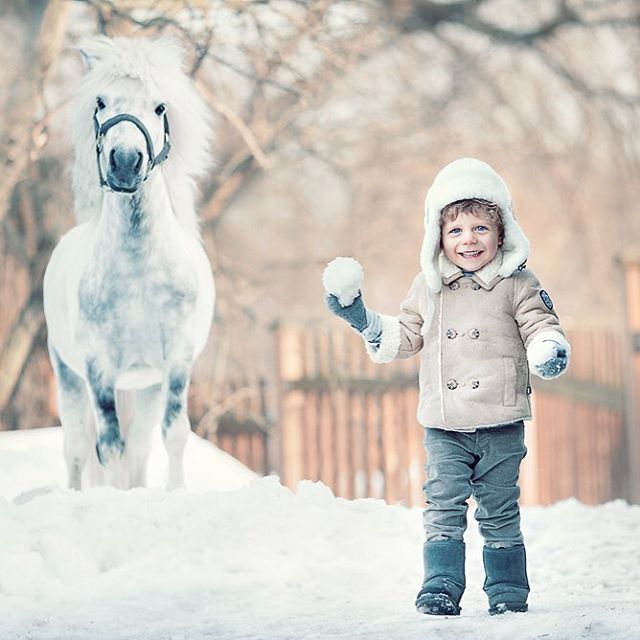3 horse kid photography by elena karneeva