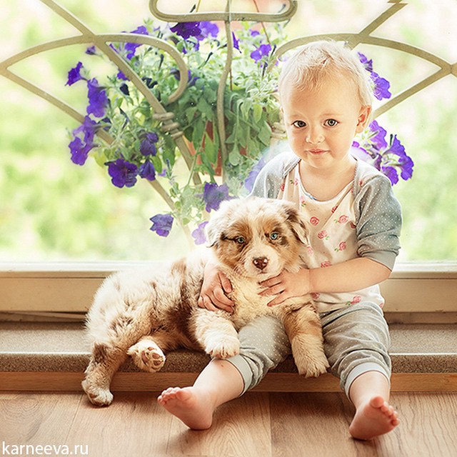 dog kid photography by elena karneeva
