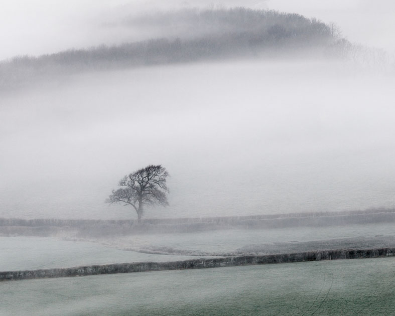 10 nature photography by finn hopson