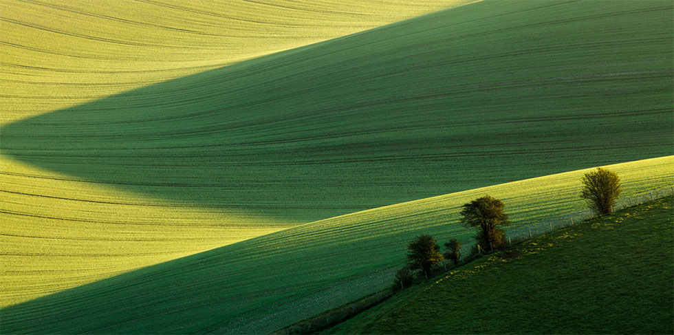 nature photography by finn hopson
