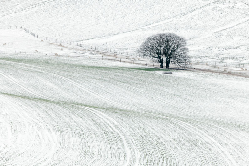 25 nature photography by finn hopson
