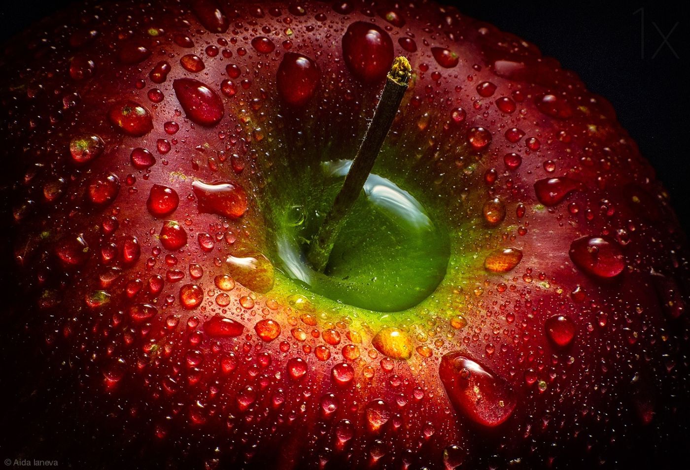 photography colorful apple by aida ianeva