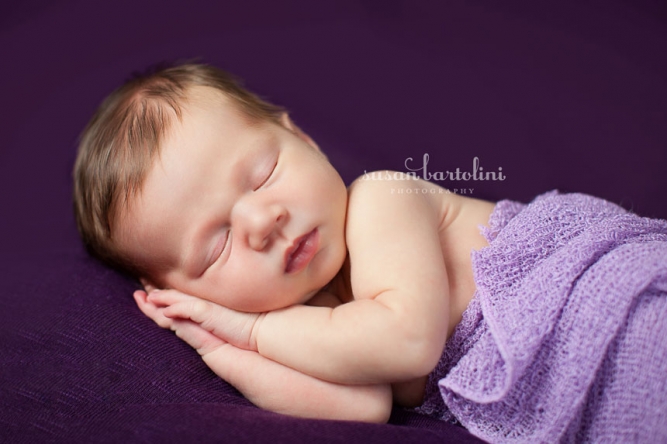16 baby photography by susan bartolini