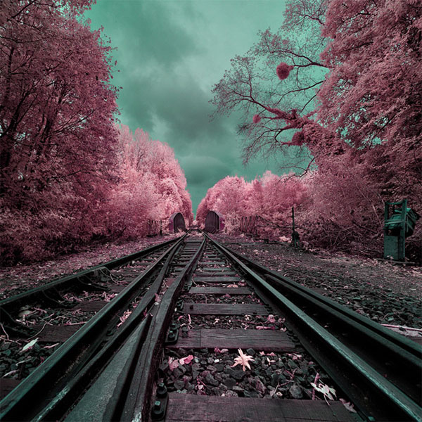 infrared photography -  6