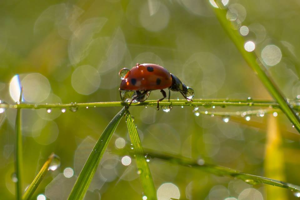 nature photography by kutub uddin