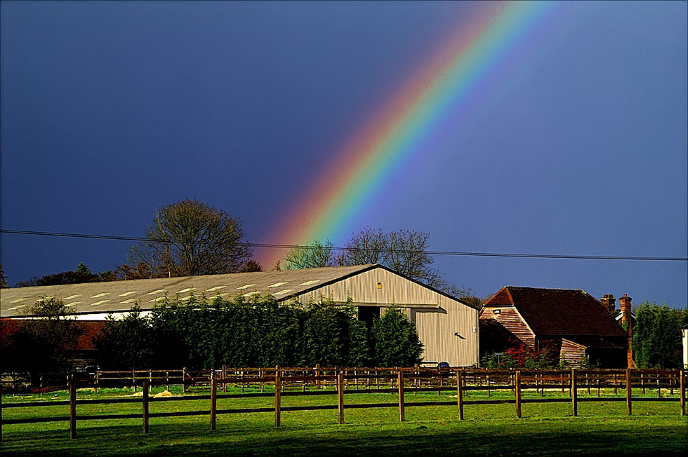 rainbow photography alex