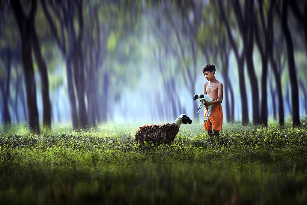billy goat photography by ipoenk graphic